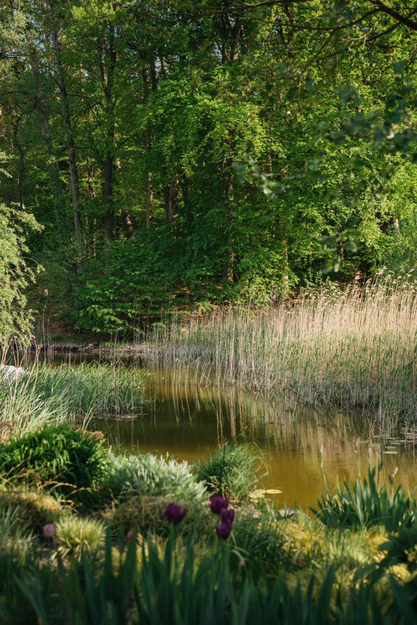 Muehle Tornow Am Wentowsee Экстерьер фото